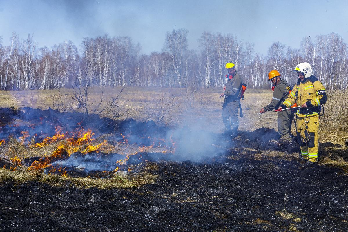 Владимир Якушев потребовал усилить работу, направленную на борьбу с лесными пожарами