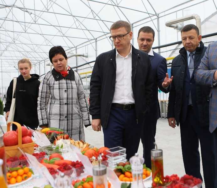 Алексей Текслер пролоббировал снижение налога на ягоды