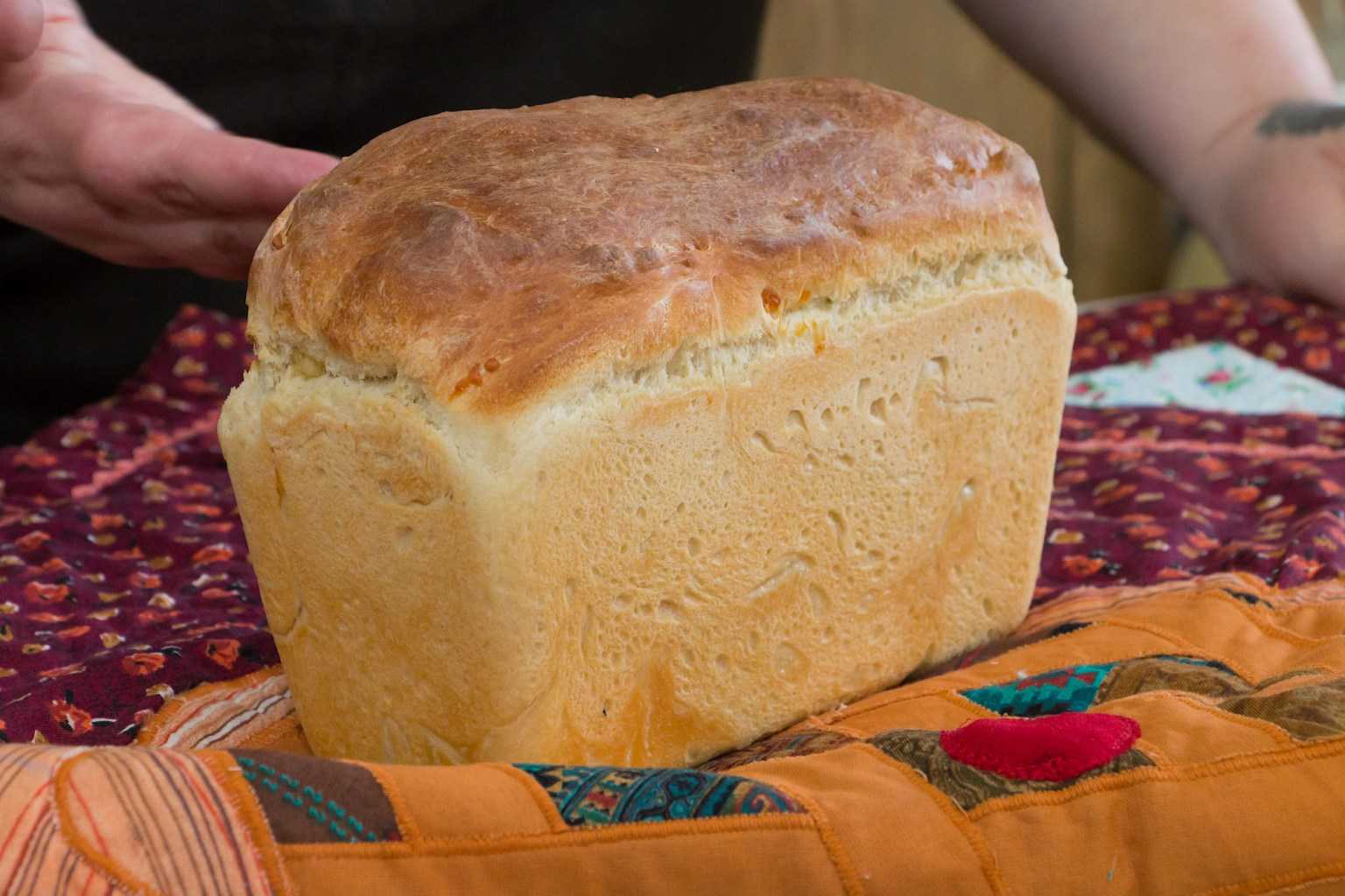 Как выбрать хорошую и качественную хлебопечку