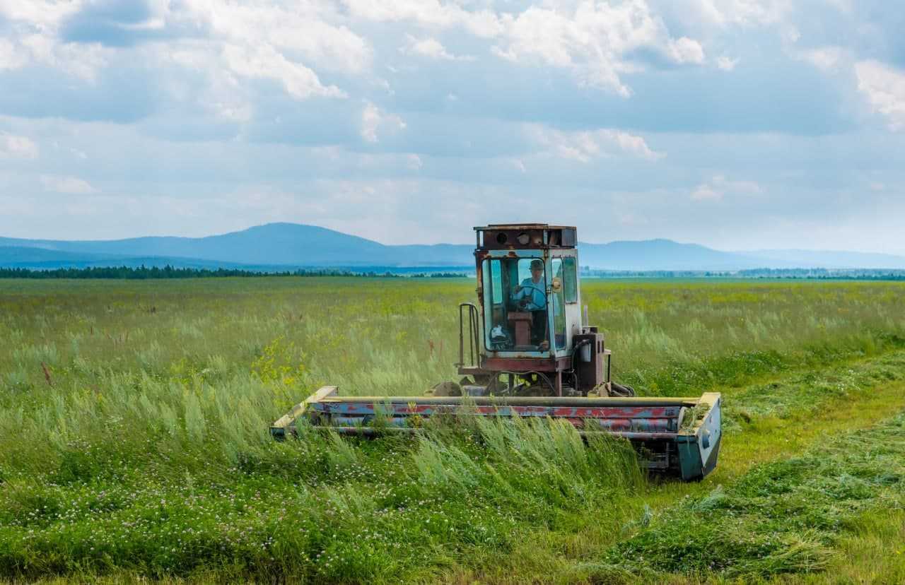 На Южном Урале вдвое снизили налог для сельхозпроизводителей