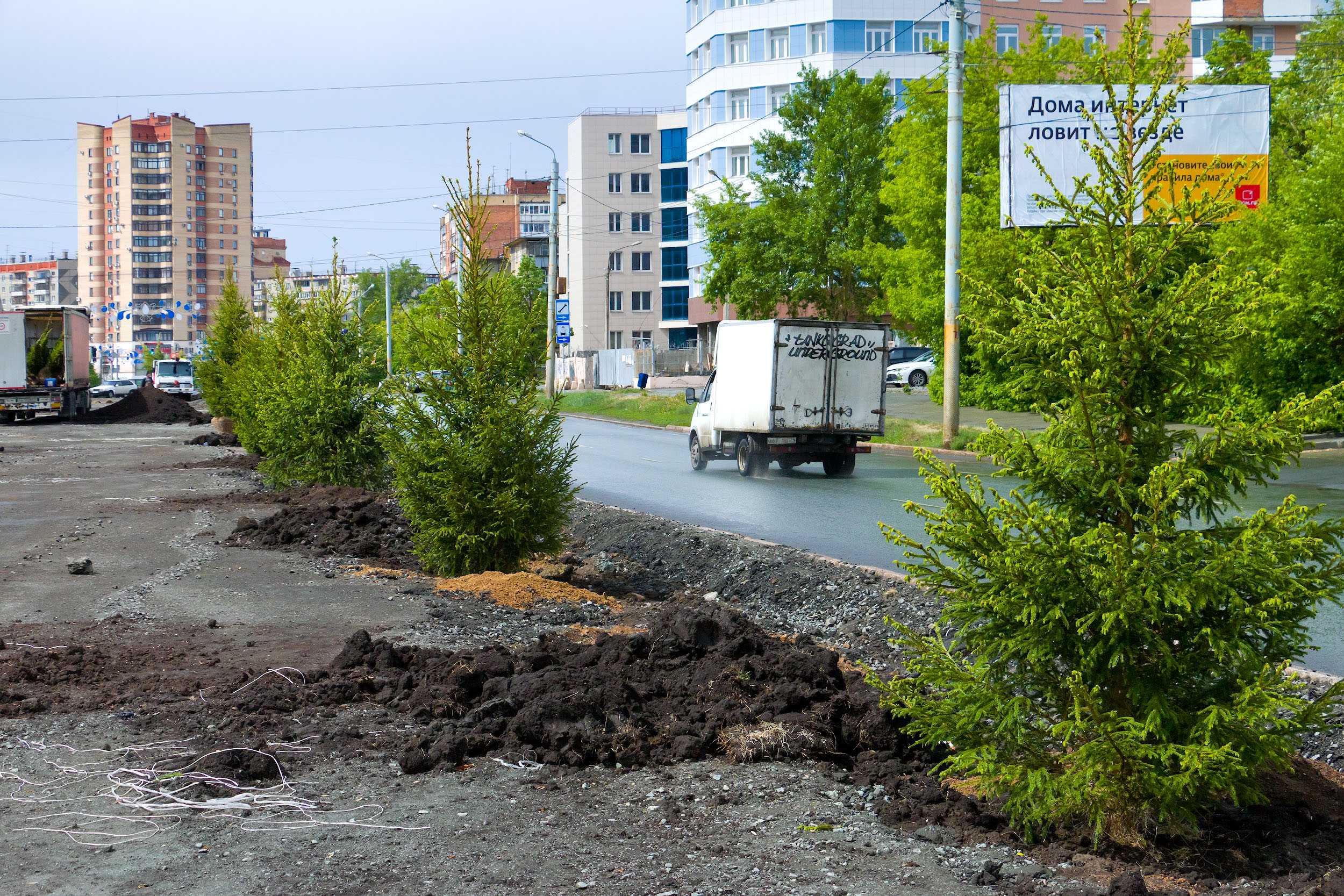 За год в Челябинске высадили 13,5 тысячи деревьев