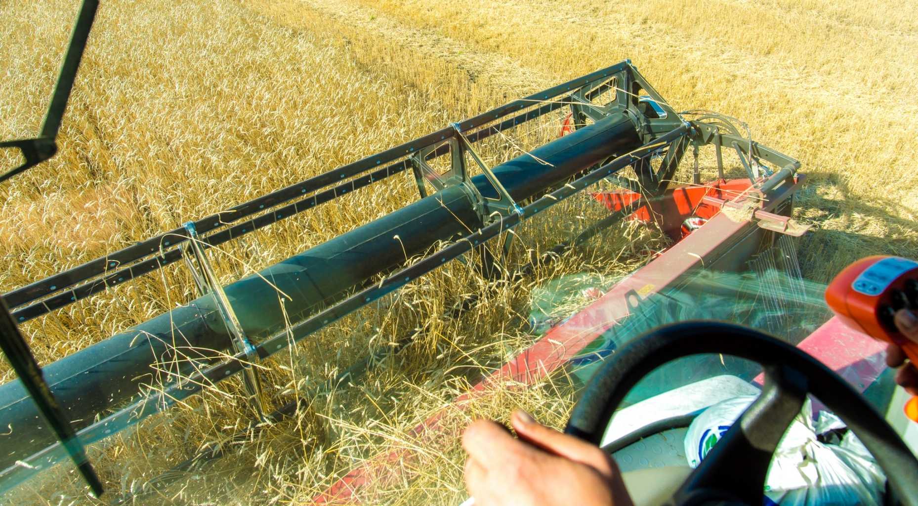 Южноуральцы не смогут работать без конкурентов на зерновом рынке Китая