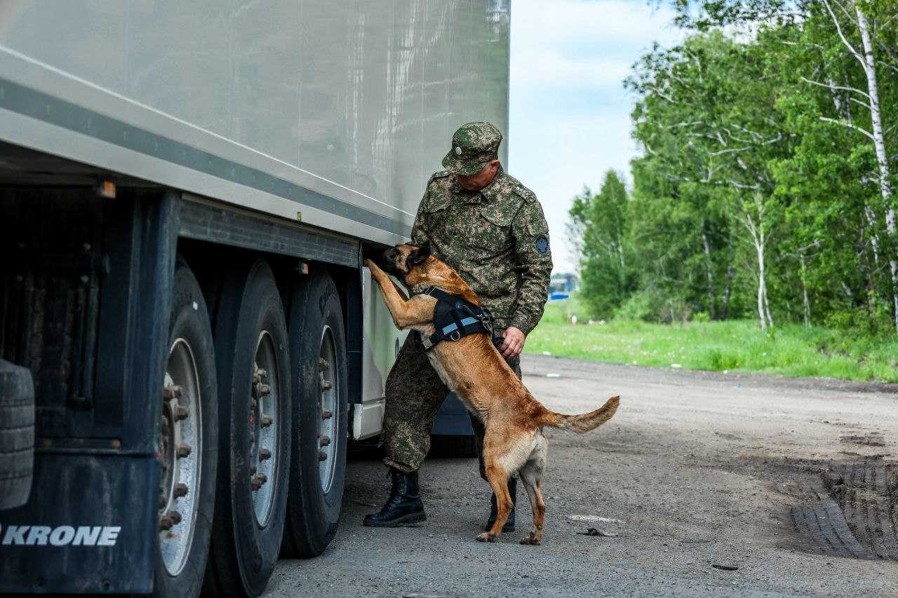 Челябинские таможенники не пропустили почти 2 тонны «серой» черешни