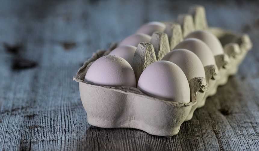 Челябинские производители птицы и яиц могут попасть под проверку ФАС