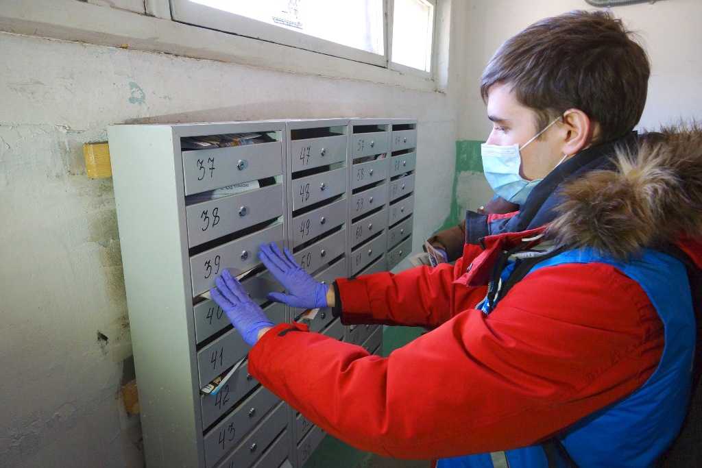 Поможет ли наличие антител к ковиду устроиться на работу в Челябинске 