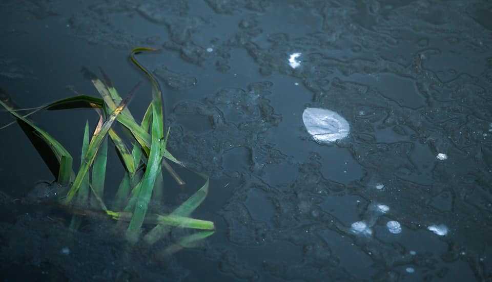 Сколько продлятся ночные морозы на Южном Урале