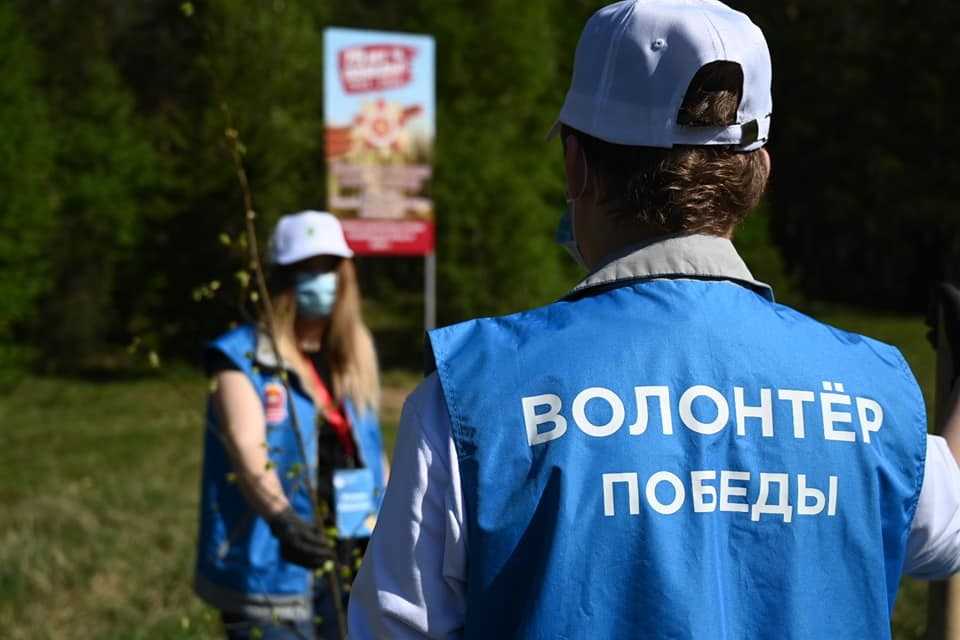 Юрий Болдырев: «Партии не станут заниматься волонтерством, если не будет профита»