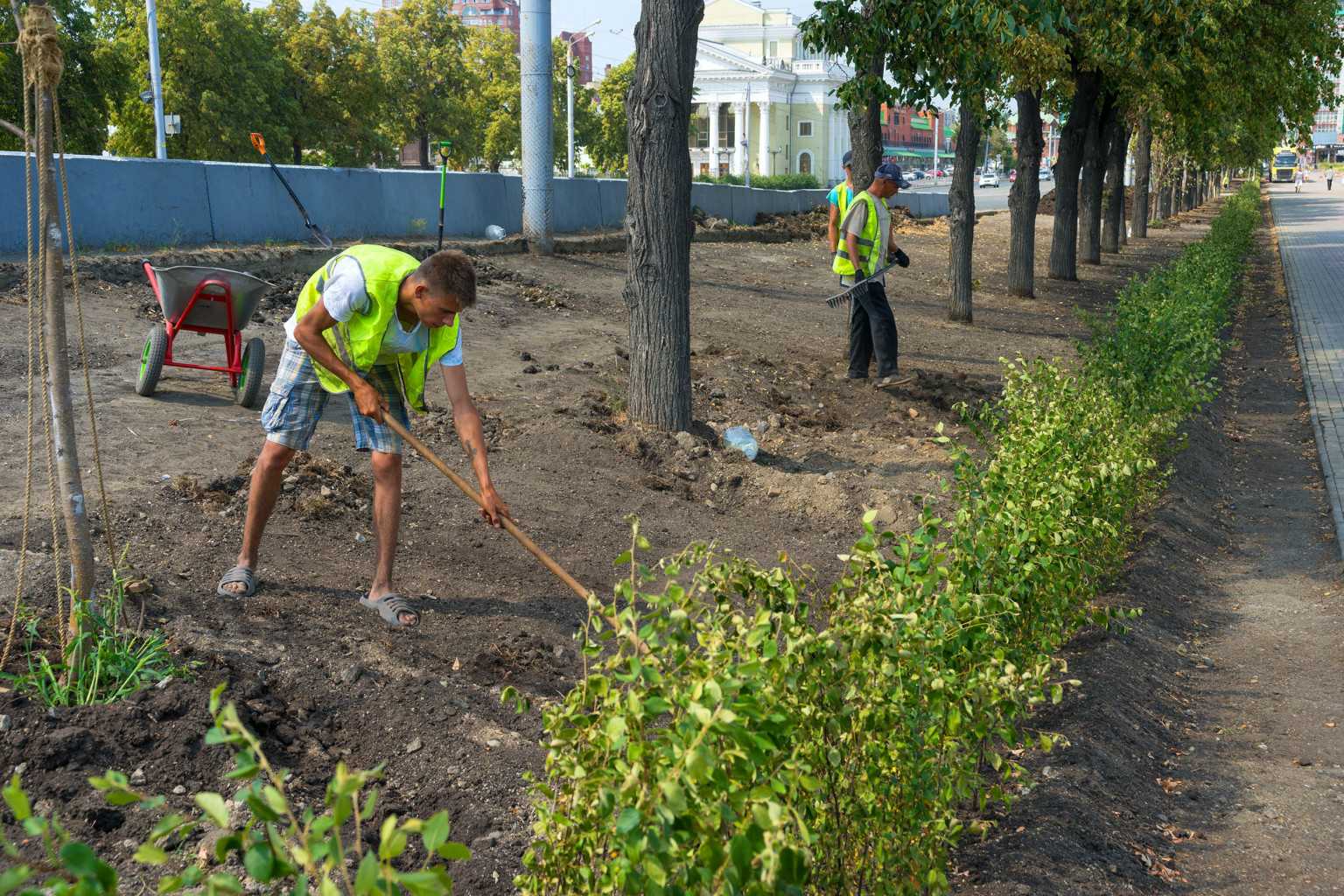 Сколько деревьев высадили в Челябинске за неделю