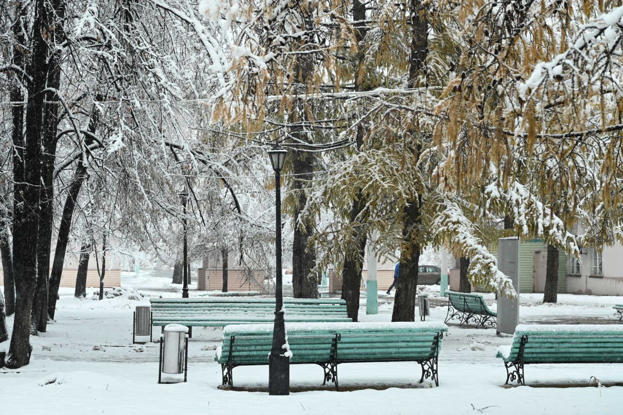 На предстоящей неделе в Челябинске ожидается плюсовая температура 