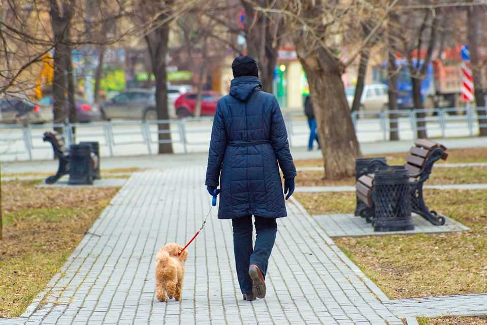 Челябинцы устроили в соцсетях флеш-моб «Оставайтесь дома»