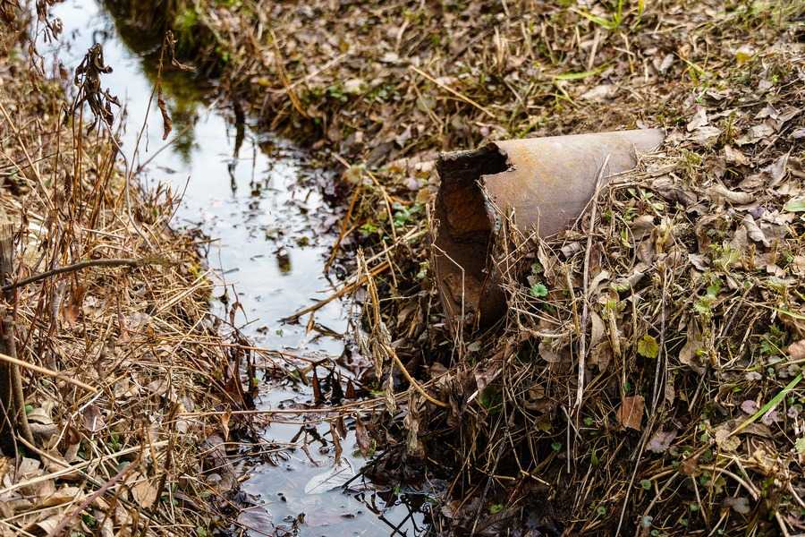 Рейтинг южноуральского мэра подпортили нечистоты в памятнике природы