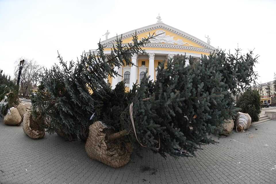 В Челябинске подвели итоги рекордного озеленения