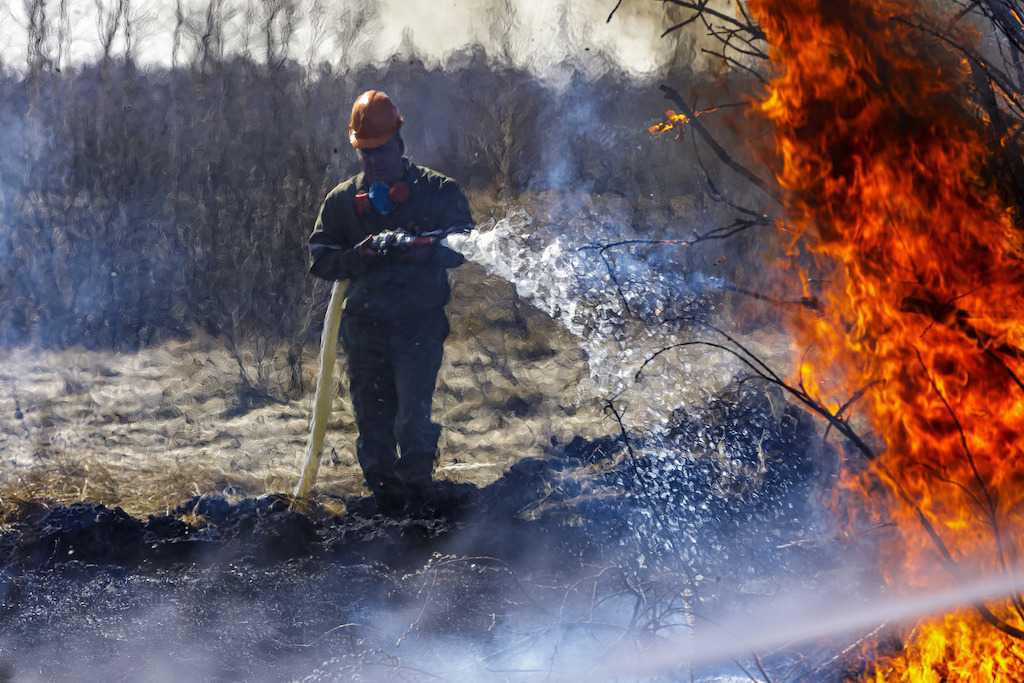 Лесной пожар в Ильменском заповеднике потушен