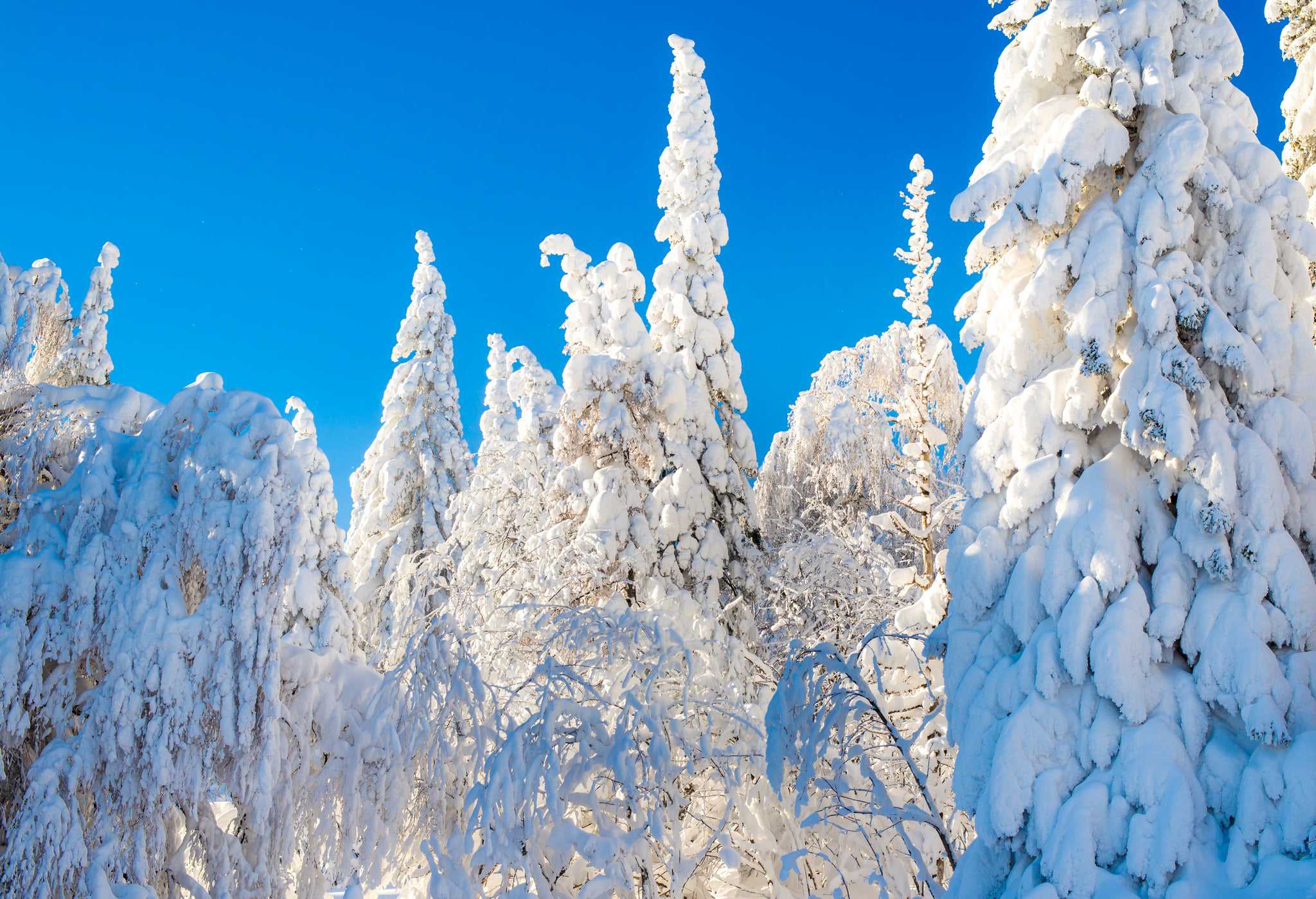 Синоптики назвали дату потепления на Южном Урале