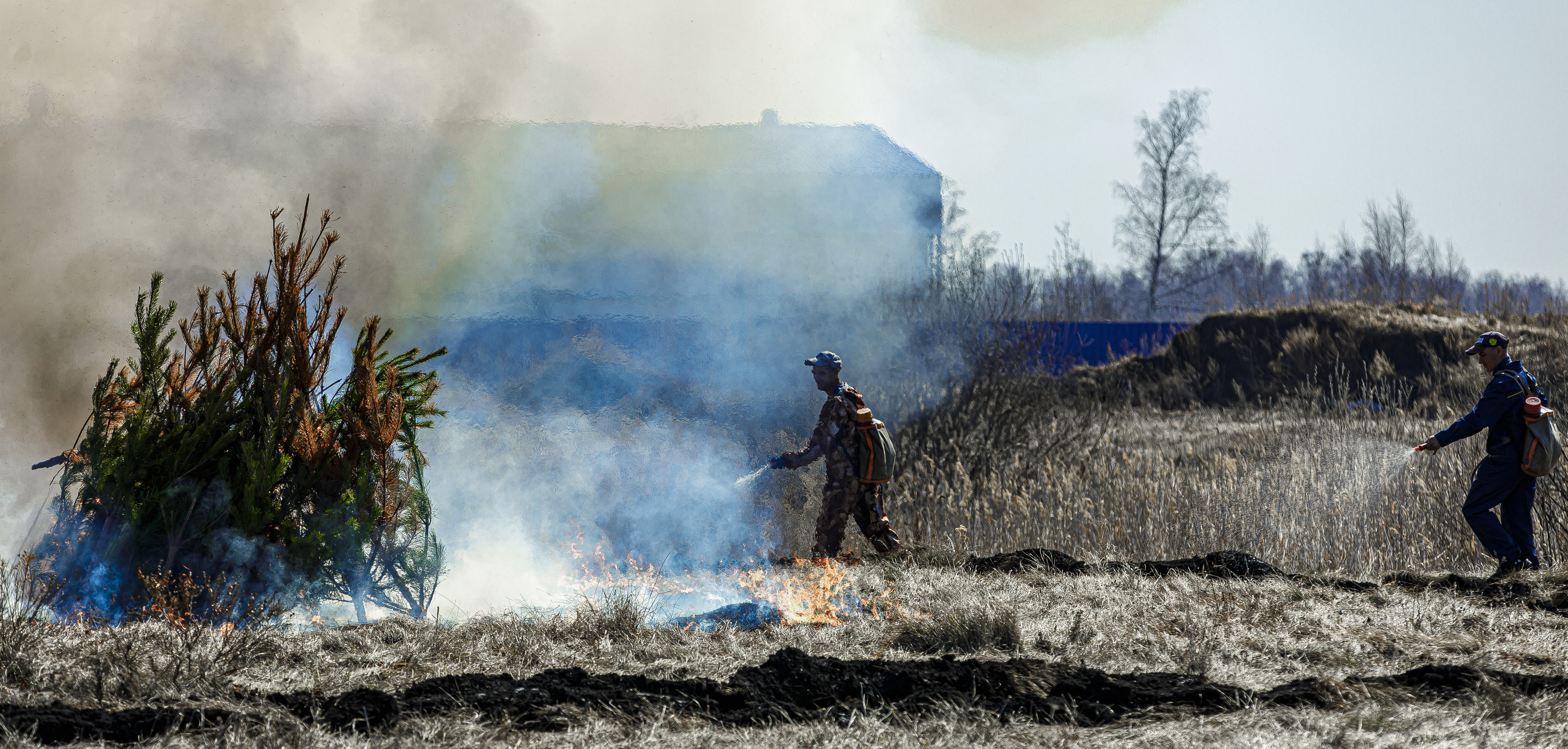 В Челябинской области разыскали восемь предполагаемых виновников лесных пожаров