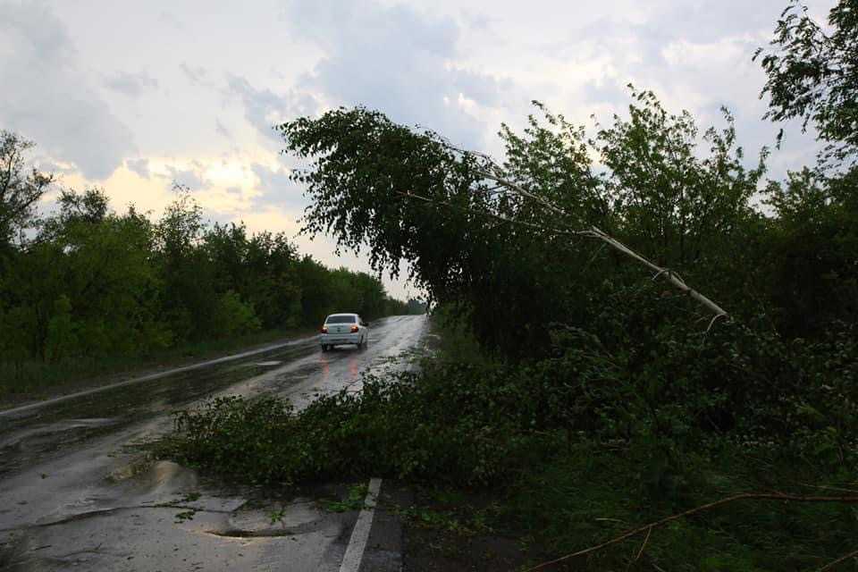 В Челябинской области объявлено штормовое предупреждение: идут грозы и сильный ветер 