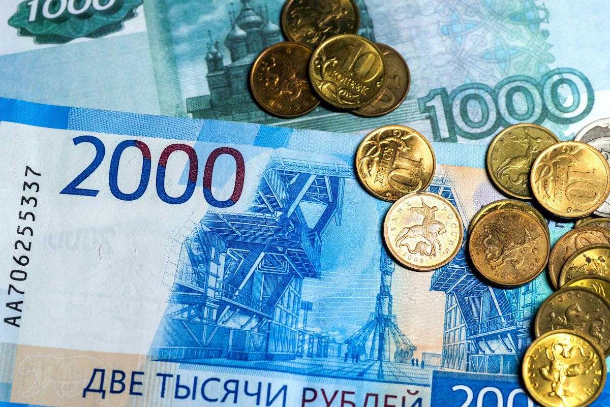 Увельское предприятие оштрафовано за хранение навалом трупов животных