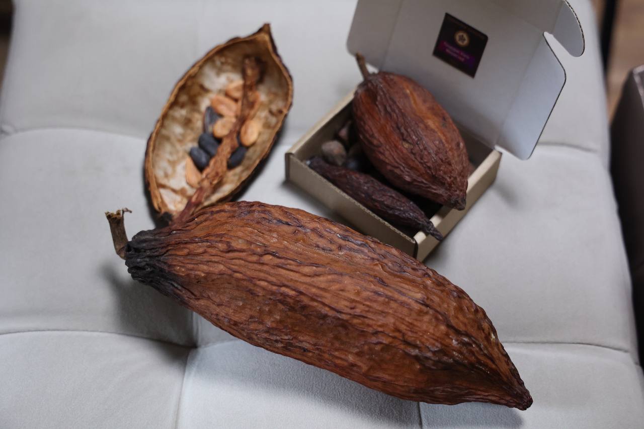 Шоколатье Динара Волкова рассказала, из каких какао-бобов получается самый вкусный шоколад
