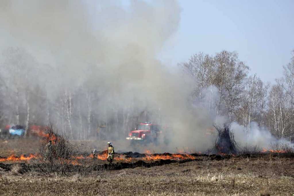В Челябинской области лесной пожар дошел до железнодорожных путей