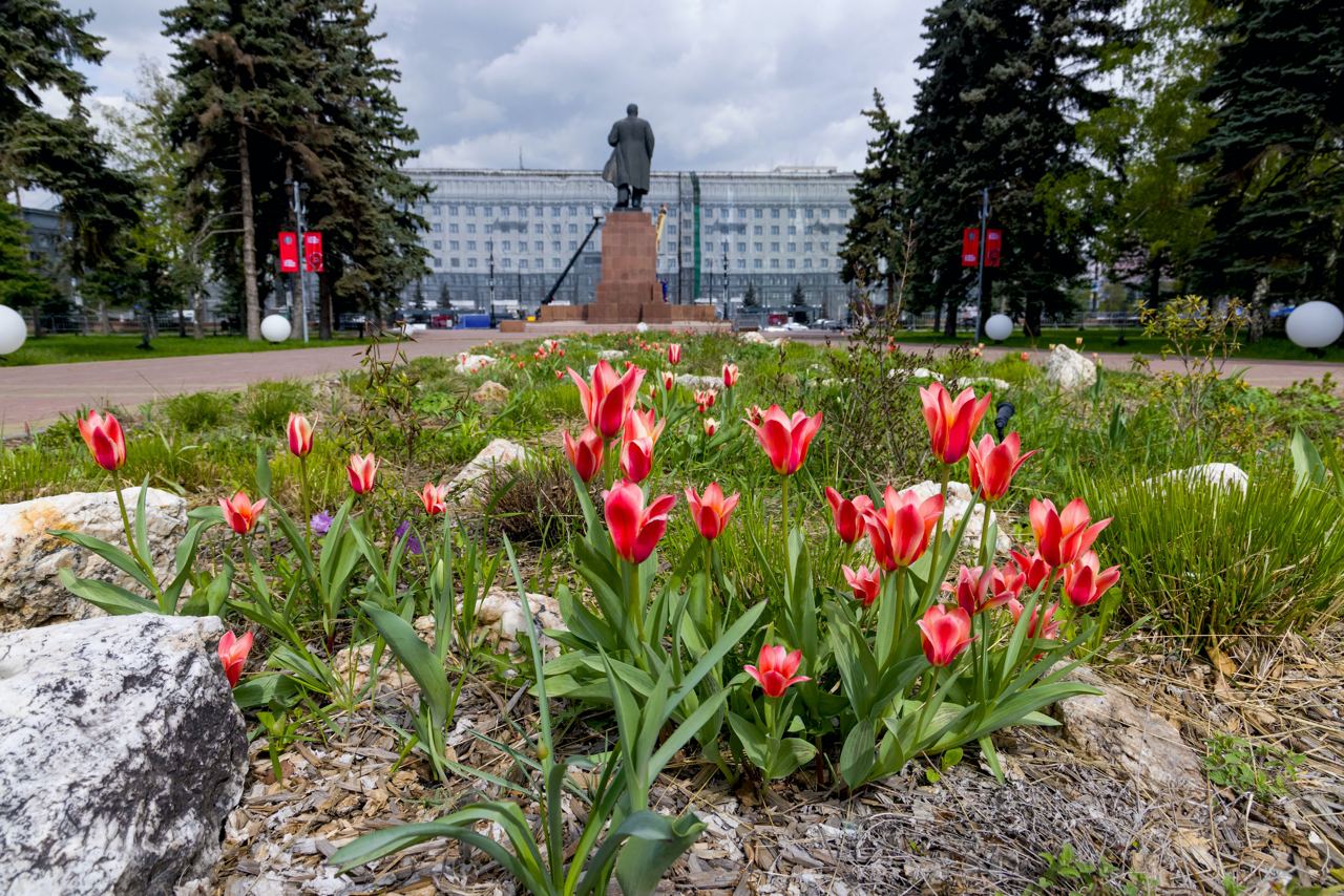 На улицах Челябинска появятся более 2,5 тысяч кашпо с цветами