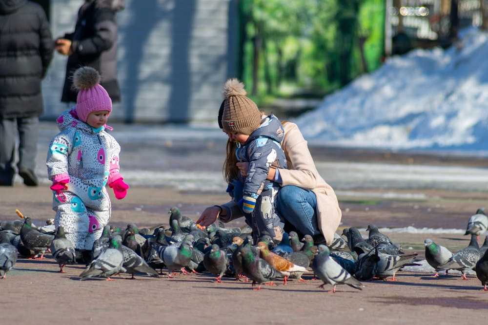 Синоптики уточнили, когда в Челябинске потеплеет до +20 градусов