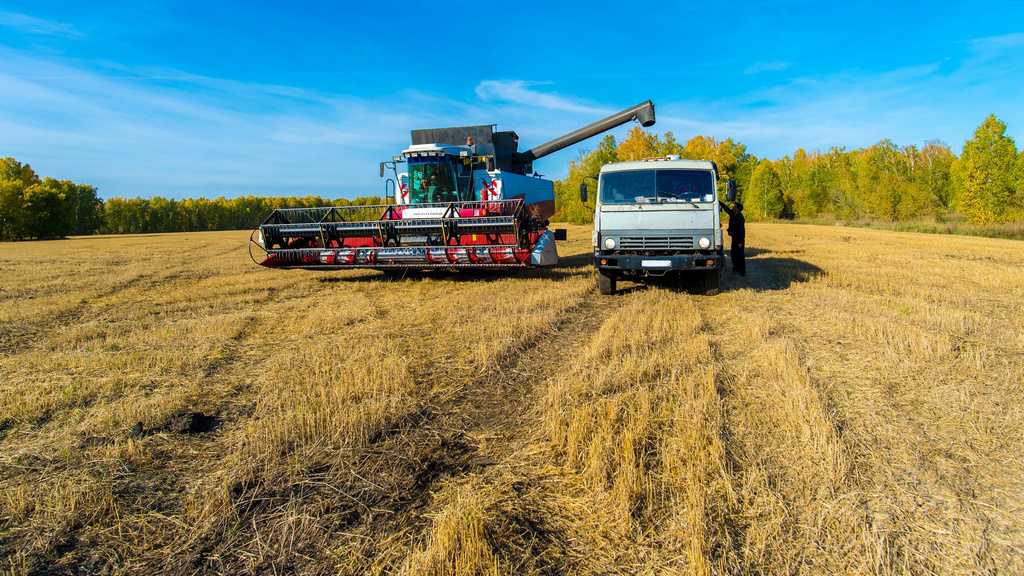 Из-за засухи в Челябинской области введен режим ЧС
