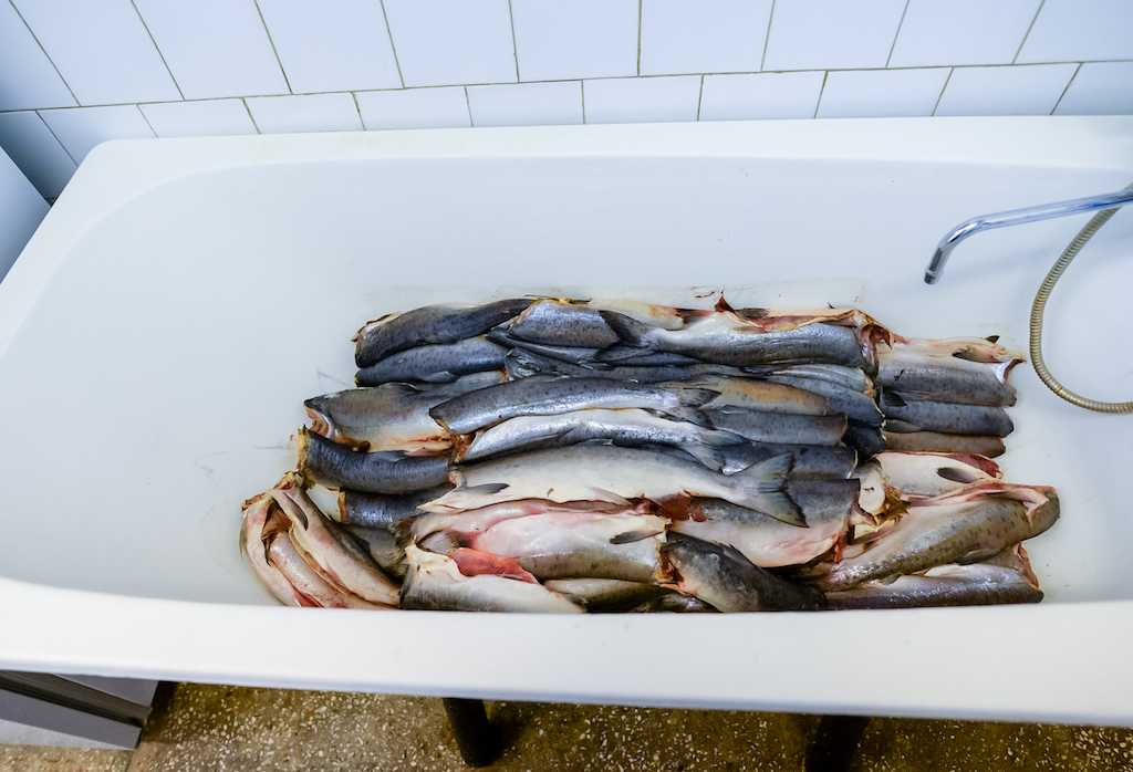 Челябинец со скуки украл 22 килограмма рыбы