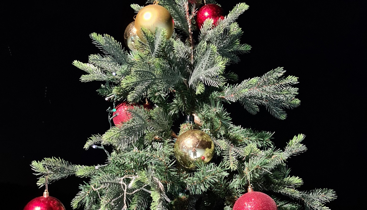 Глава Копейска в каждую семью мобилизованных принесет новогоднюю елку