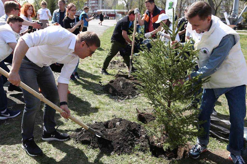 Ель в парголово в честь трезора фото