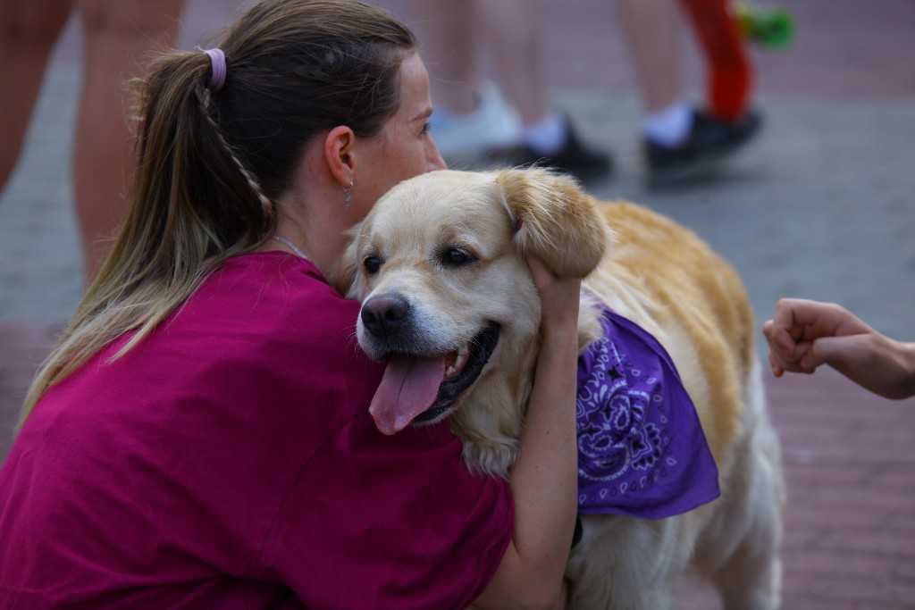 В Роспотребнадзоре объяснили, можно ли спать со своей собакой