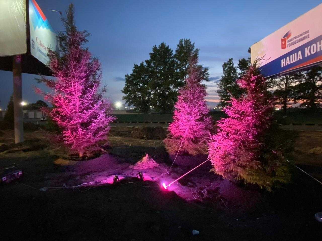 Где в Челябинске появится декоративная подсветка деревьев