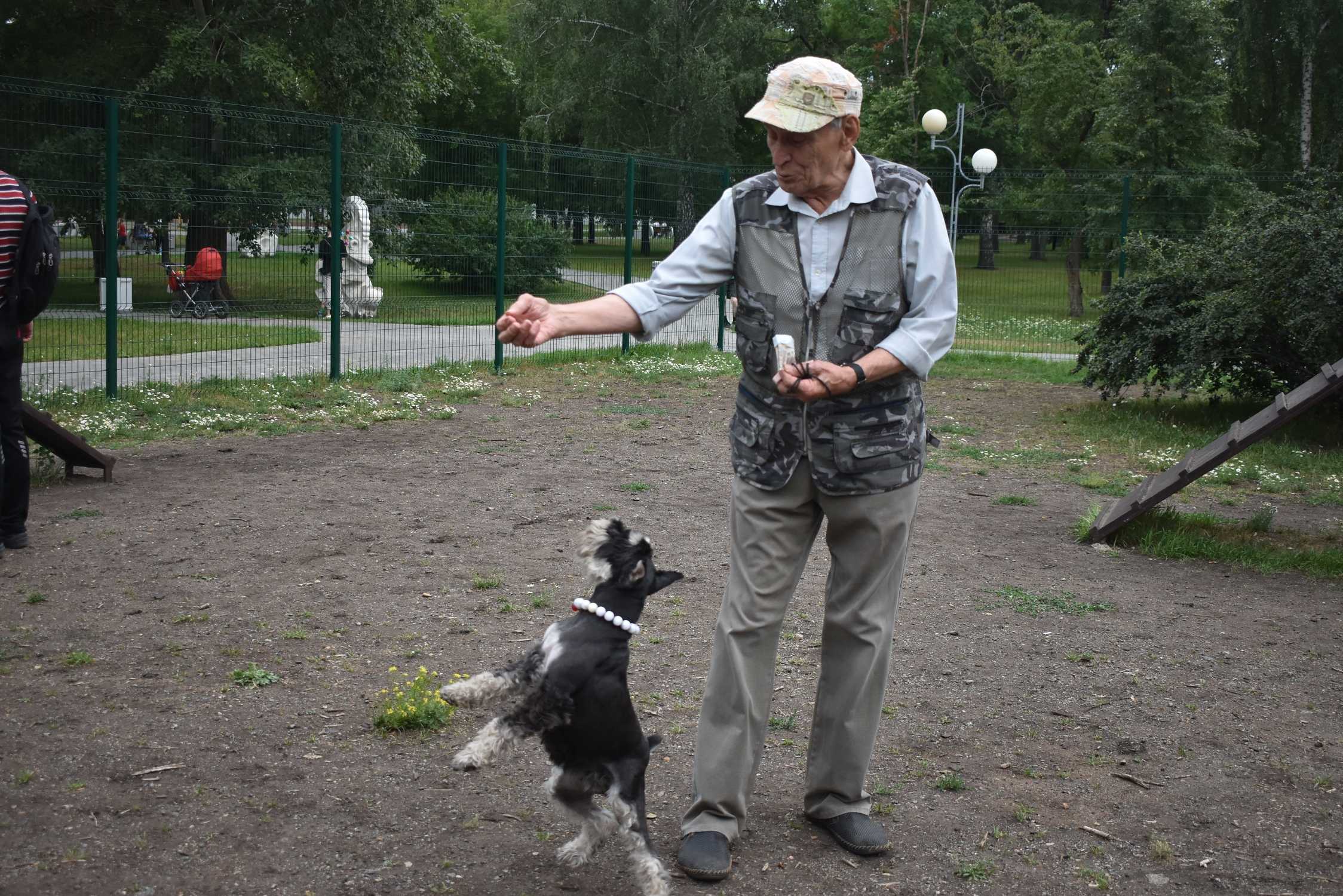 Собаки челябинск