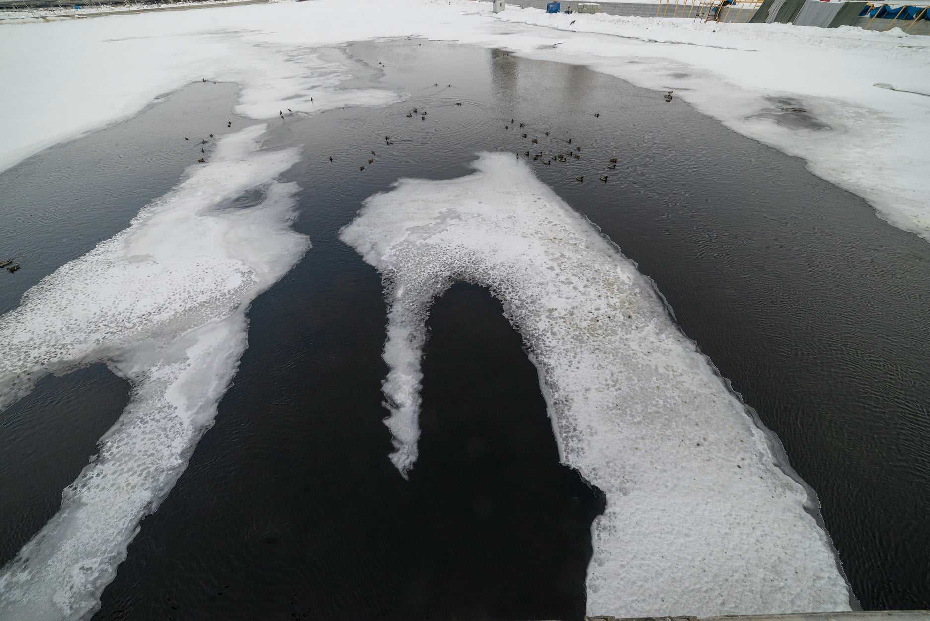 Экологи объяснили, откуда в реке Миасс в Челябинске нефтяные пятна