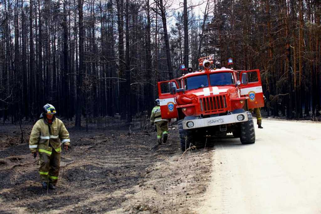 Челябинская область получит деньги из федерального бюджета на защиту от лесных пожаров