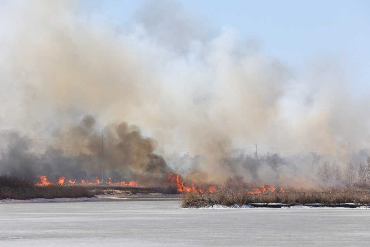 Минувший пожароопасный сезон на Южном Урале назвали аномальным