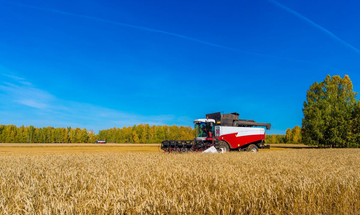 В УрФО собрано более трети урожая зерновых и зернобобовых