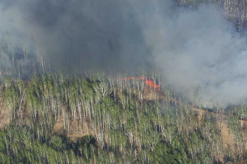 Крупный лесной пожар подпалил рейтинг южноуральского мэра
