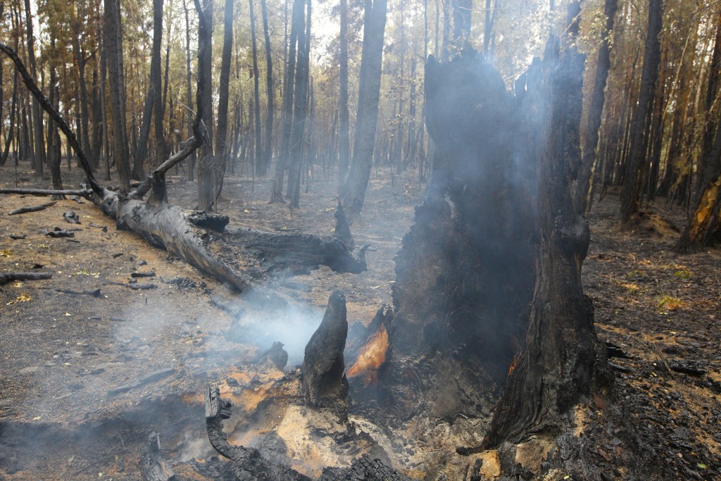 Техника вязнет: южноуральские огнеборцы пробиваются к эпицентру лесного пожара