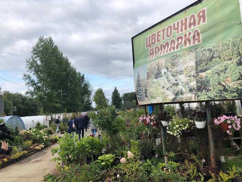 Усадьба челябинск шершни. Кольцо Шершни Челябинск. Питомник в Шершнях. Экопарк Челябинск Шершневское. Садовый центр плотина Челябинская.