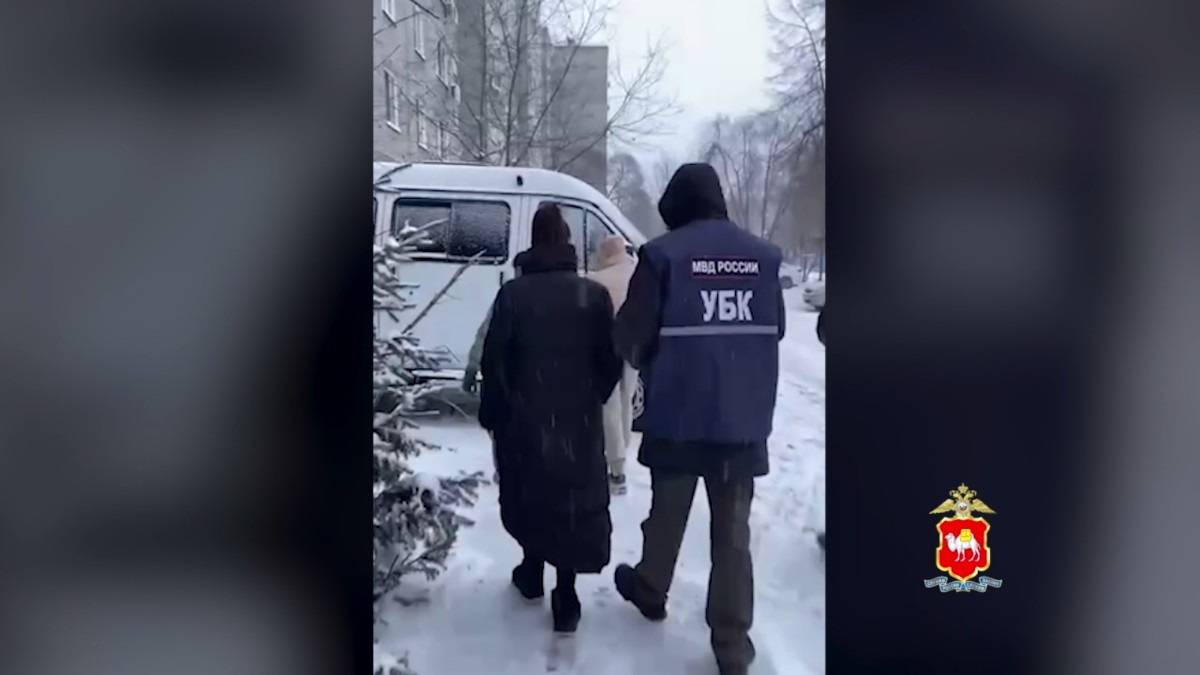 В Челябинской области задержан серийный кибермошенник