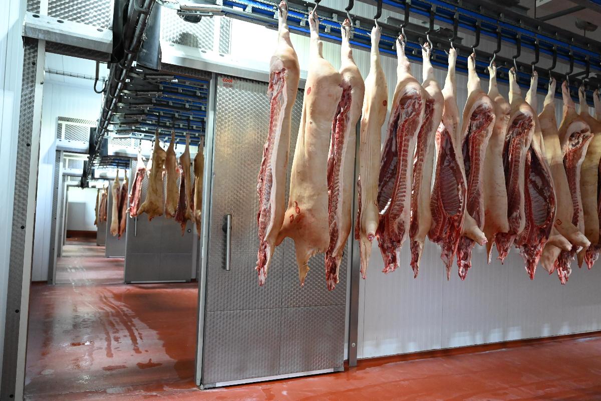 Наращивание производства мяса замедлило инфляцию на Южном Урале