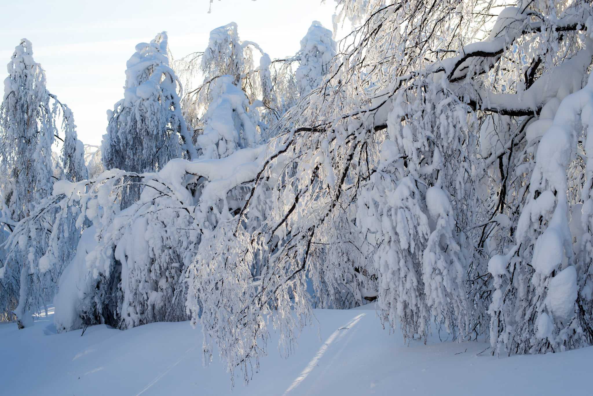 Сколько продержатся ночные морозы на Южном Урале