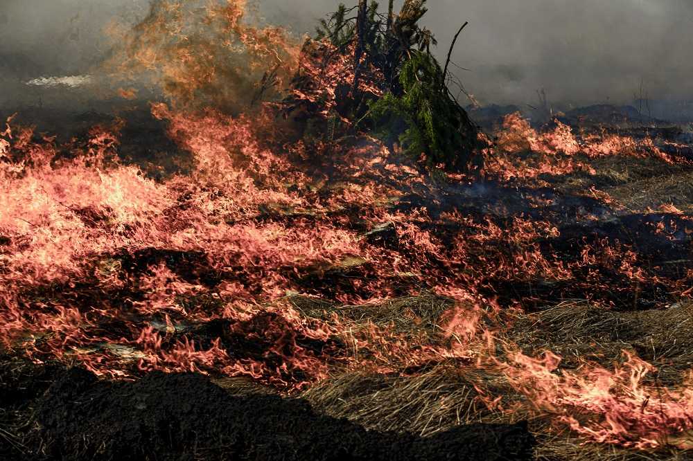 Пожилая жительница Челябинской области сгорела в траве на дачном участке