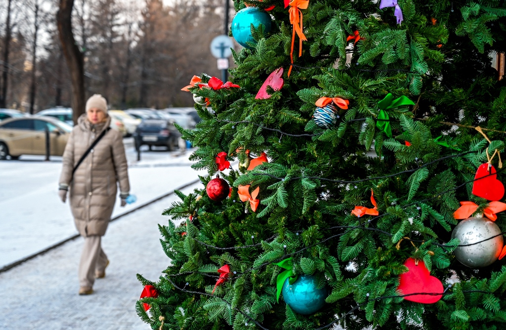 Больше половины россиян останутся дома на новогодние праздники