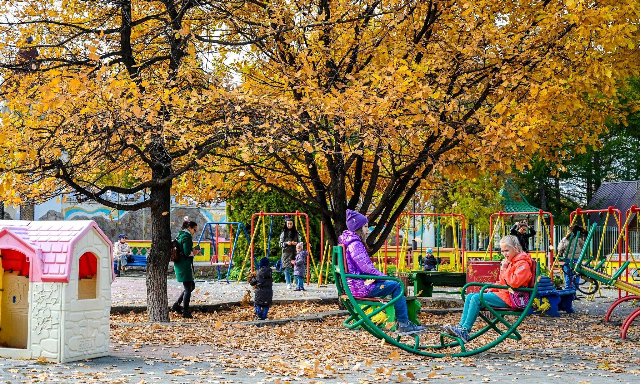 Как в Челябинске убирают опавшие листья