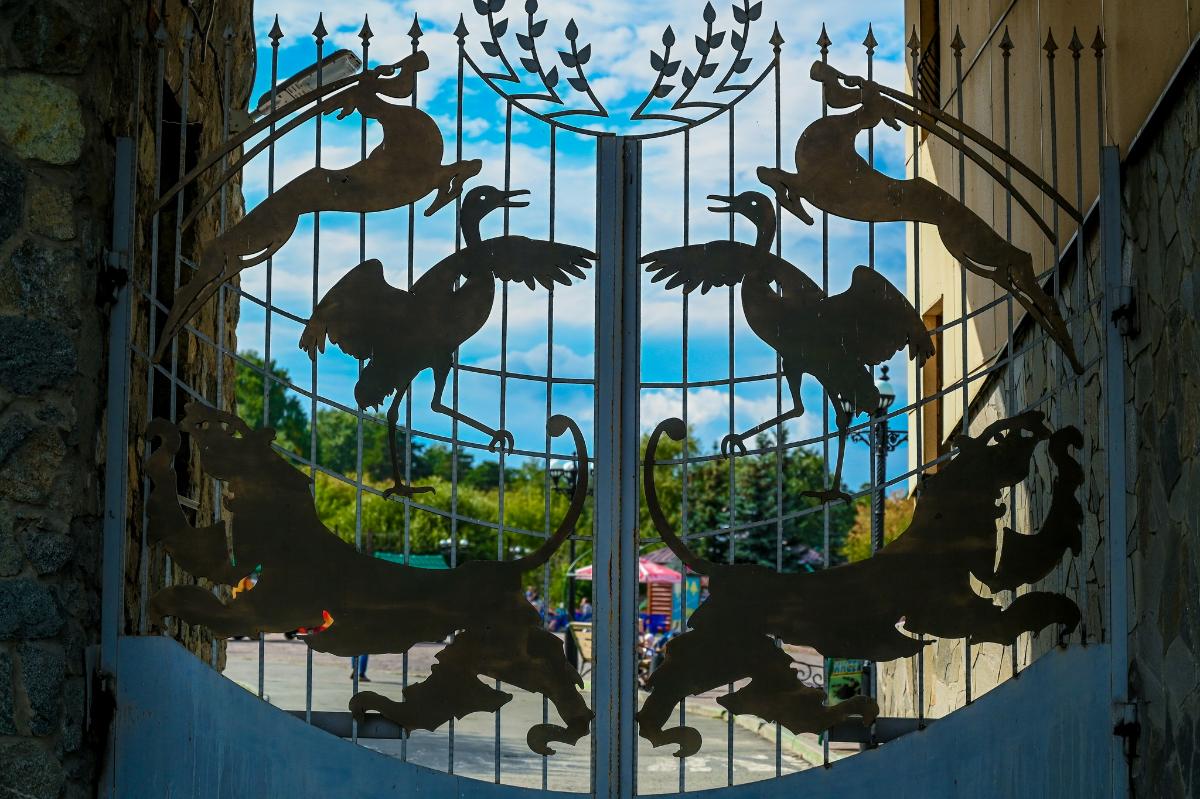 Челябинский зоопарк покинула молодая кенгуру