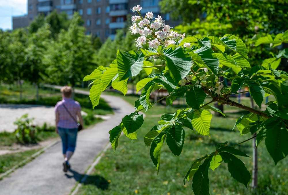 Синоптики анонсировали возвращение тепла в Челябинск