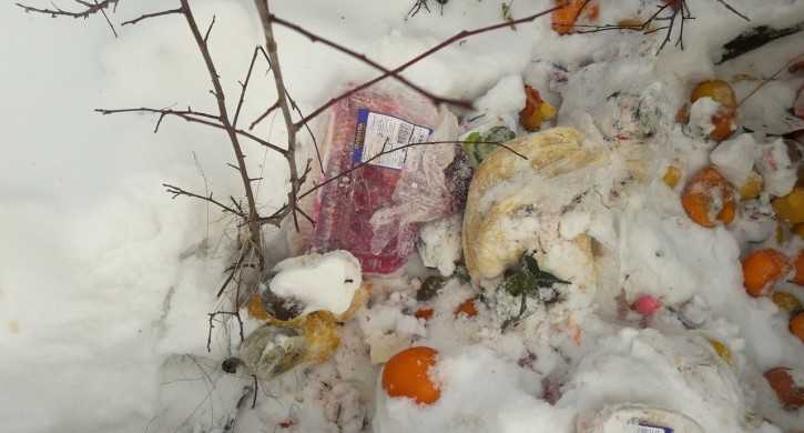 В парке Челябинска обнаружена свалка тухлых продуктов