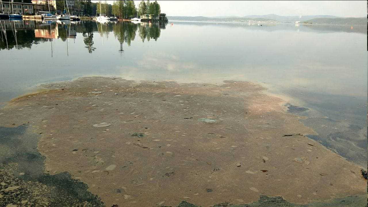 Загрязнённые водоёмы в Челябинске