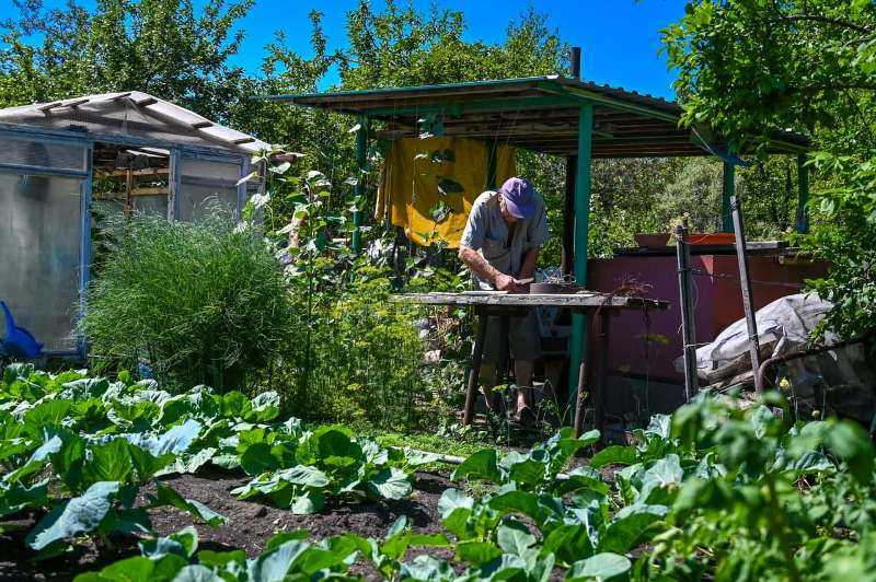 Южноуральские садоводы предлагают объявить «сетевую амнистию»